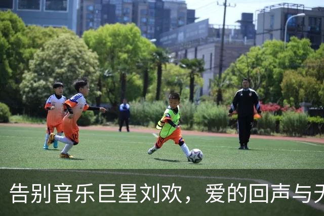 告别音乐巨星刘欢，爱的回声与无尽的思念